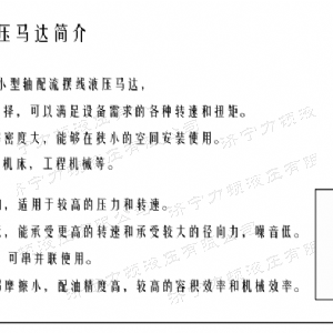开云在线客服侧油口系列马达