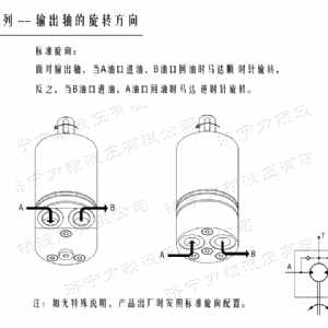 开云在线客服后油口系列马达